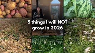 These 5 Plants Didn’t Make the Cut for My 2026 Garden