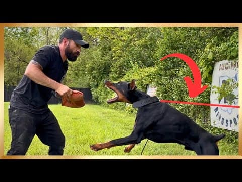 Does Everyone Teach Tug Wrong?