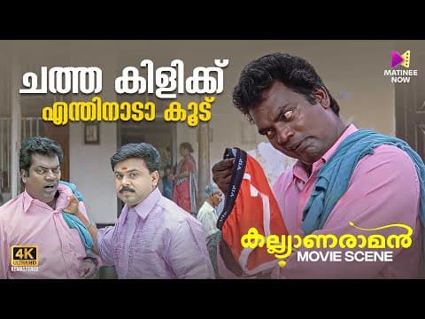 ചത്ത കിളിക്ക് എന്തിനാടാ കൂട് | Kalyanaraman | 4k Remastered | Dileep | Navya | Salim Kumar