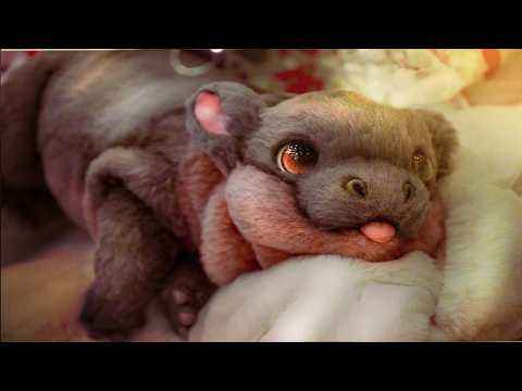 I Wanted A Baby Hippo For Christmas...so I Made One (so Not Moo Deng)