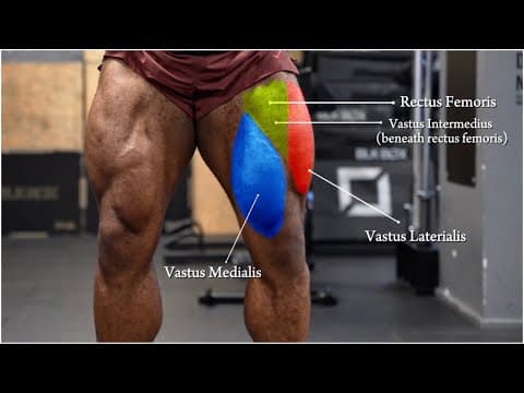 The Perfect Leg Workout To Build Big Strong Legs | My Top Tips