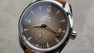 Omega Seamaster Railmaster 235.12.38.20.13.001 Omega Watch Review