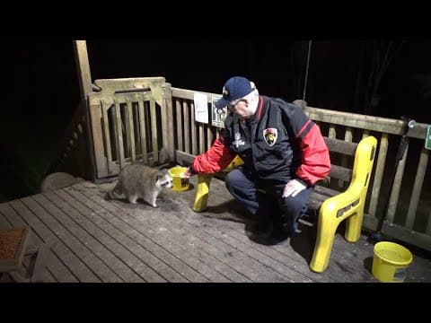 Raccoon Diner Thursday