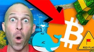 Bitcoin Whales Are Selling Fast 🐳 Did The Bubble Just Pop? [mevolaxy..]