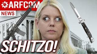 Dick's Endless Background Check + The Grinch Who Stole Super Safeties + Pam Bondi's Schizo Doj