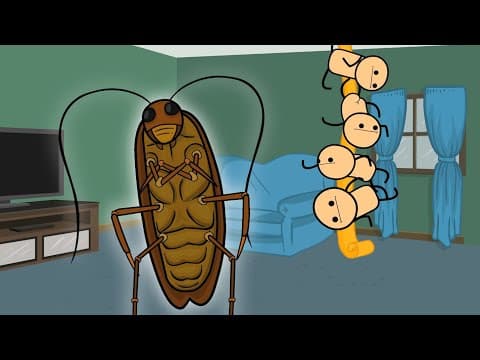 Oh No It's Bugs | C&h Compilation