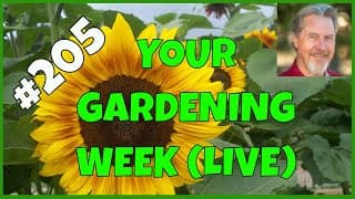 Preparing Garden Soil (q&a)