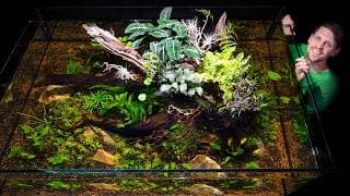 360° Giant No-filter Guppy Ecosystem Pond Tank