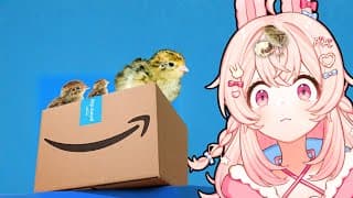 Will They Hatch? Amazon Quail Eggs