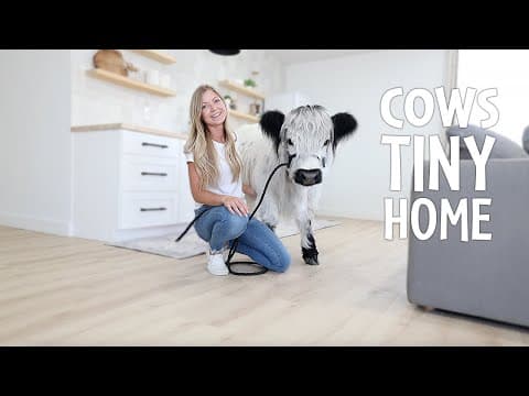 Inside My Animals New Tiny House!