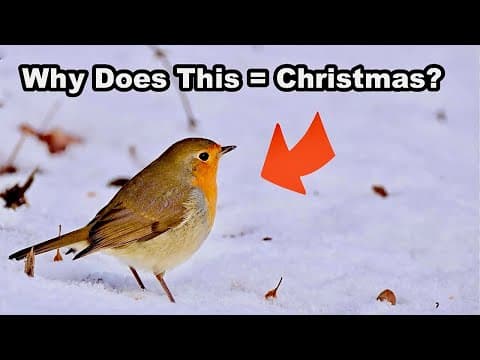 Why These 5 Wild Plants & Animals Symbolise Christmas
