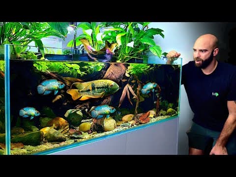 The Most Realistic Aquarium I've Ever Made! Acara, Tetra & Cory Paradise