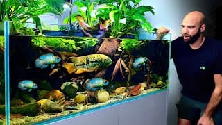 The Most Realistic Aquarium I've Ever Made! Acara, Tetra & Cory Paradise