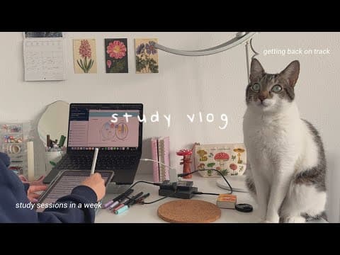 Study Vlog 💫 A Week Of Cozy Study Sessions & Getting Back On Track