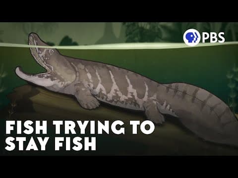 Crawling Out Of The Water Was An Evolutionary Accident