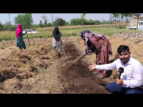 खाली जगह से शुरू करें Vermicompost बिजनेस | Business Ideas | केंचुआ खाद