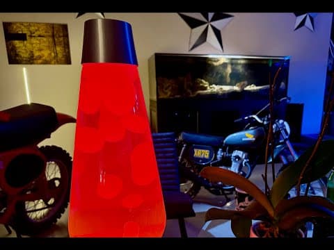 Lord Leon 2 The Lobster May Be Smarter Than Me!