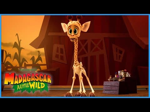 Melman The Country Singer 🎤 🤠 | Madagascar: A Little Wild | Dreamworks Madagascar