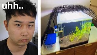 I Found Some Crazy Fish Tanks (hostile Architecture) | Fish Tank Review 328