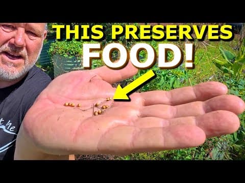 5 Best Herbs To Grow At Home