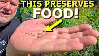 5 Best Herbs To Grow At Home