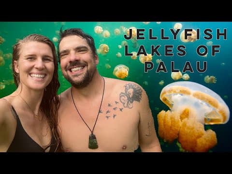 Diving Into A Deadly Jellyfish Lake In Palau 😳 [part 2]