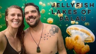 Diving Into A Deadly Jellyfish Lake In Palau 😳 [part 2]