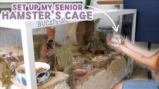 Setting Up My Senior Hamster's Cage 🐹