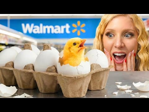 Hatching Grocery Store Eggs As Pets!