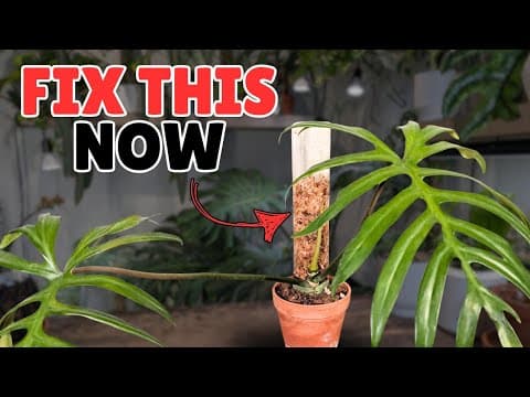 How I Solved A Shaky Moss Pole