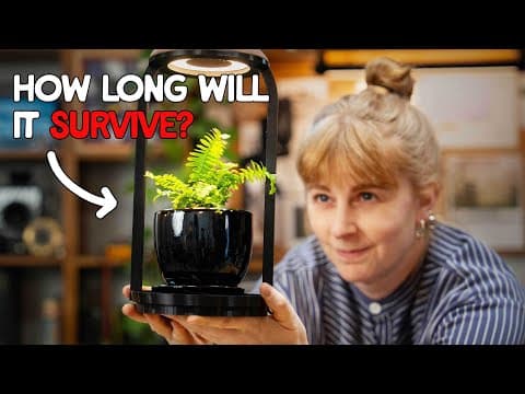 This Plant Will Die If I'm On My Phone Too Much