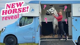 Meet My New Horse!!! 🐴