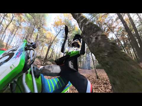 He Crashed Into A Tree