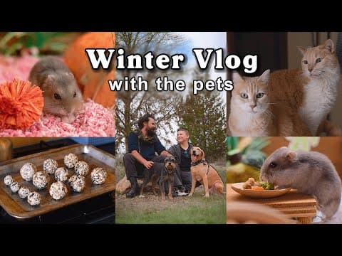 Celebrating The Winter Solstice With The Animals 🐹🐶🐱