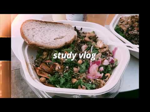 Fall Semester Study Vlog: Exam Outlines, Games, Current Reads, More Updates