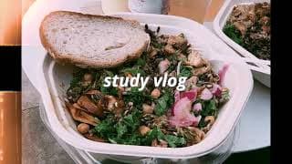 Fall Semester Study Vlog: Exam Outlines, Games, Current Reads, More Updates