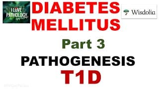 Diabetes Mellitus | Part 3| Pathogenesis | Type 1 Diabetes Mellitus