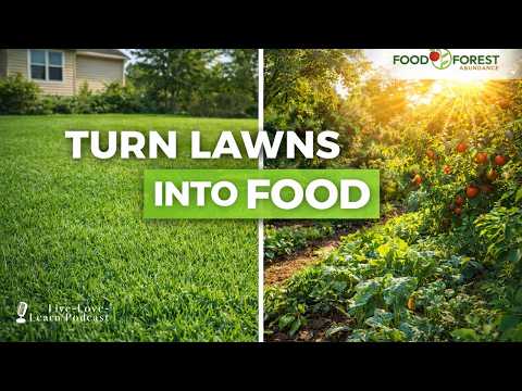Food Forests 101: Design, Community & Taking Your Power Back | Catherineedwards.life