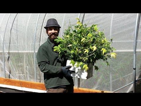 Something I Want To Share With You ......