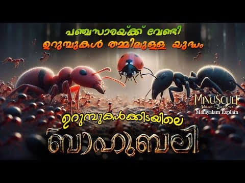 ഉറുമ്പുകളുടെ ലോകത്ത് നടക്കുന്ന യുദ്ദം | Full Movie Malayalam Movie Explain | Cinema Lokam..