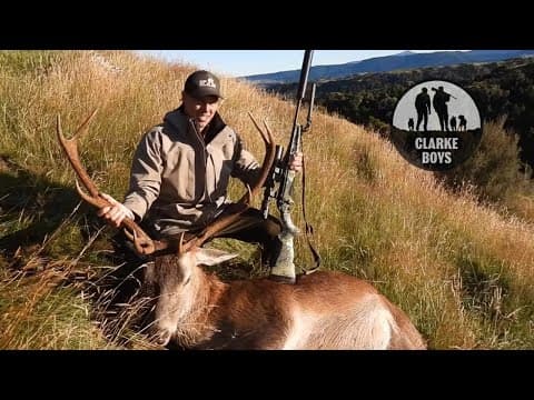 Hard Antler Stag Hunt!