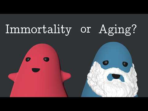 Simulating The Evolution Of Aging