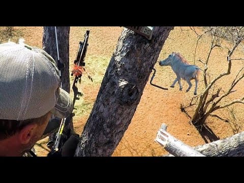 Quiver Full Of Death.