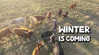 Making The Final Farm Preps For Winter