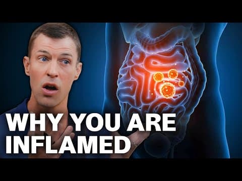 Top 9 Root Causes Of Inflammation (that Doctors Won’t Address)
