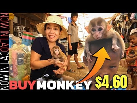 Live Wildlife For Sale At This Laos Market | Big Loop Tour E17