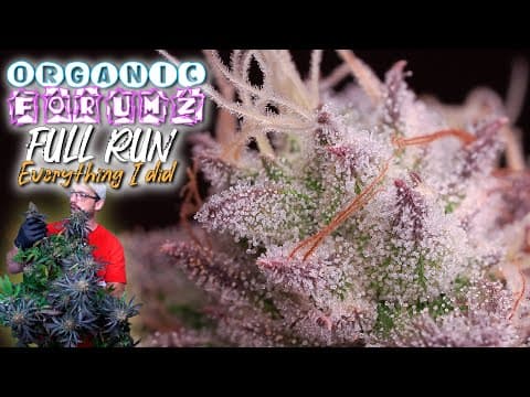 Everything I Did From Seed To Harvest | Dry & Cure Included | Organic Forumz Gsc