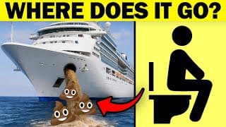 What Happens When You Flush On A Cruise Ship?
