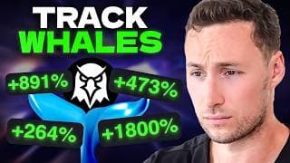 How To Track Top Holder Wallets For Memecoins With Dex Screener (onchain Analysis Guide)