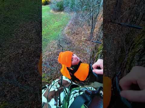 How many does did you harvest this season?